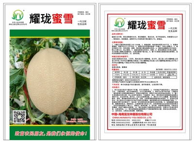 耀瓏蜜雪（璀璨明珠）：海南富友種苗股份有限公司的蜜瓜新品，引領百億種植潮流