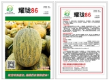 耀珑86