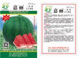 嘉丽