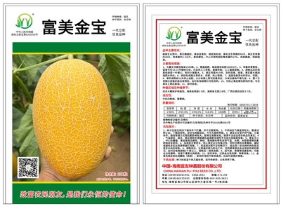 富美金寶：海南富友種苗股份有限公司的優(yōu)質(zhì)哈密瓜
