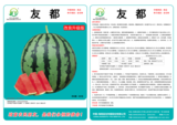 友都